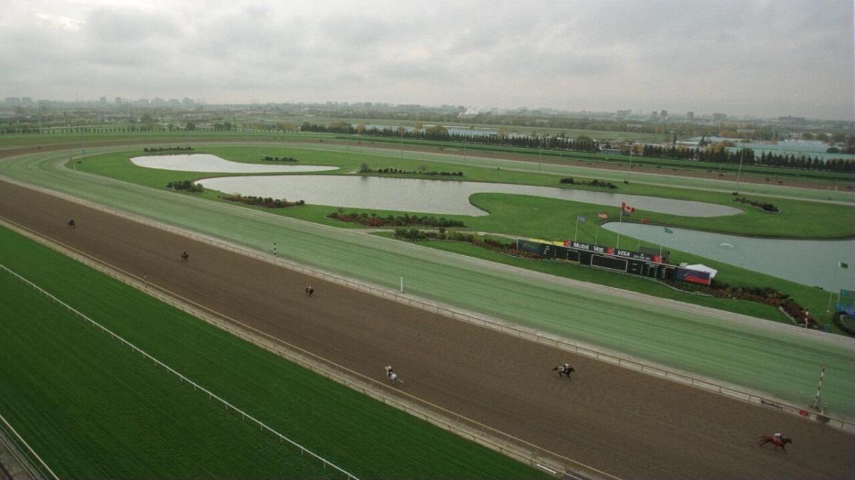 Woodbine racecourse